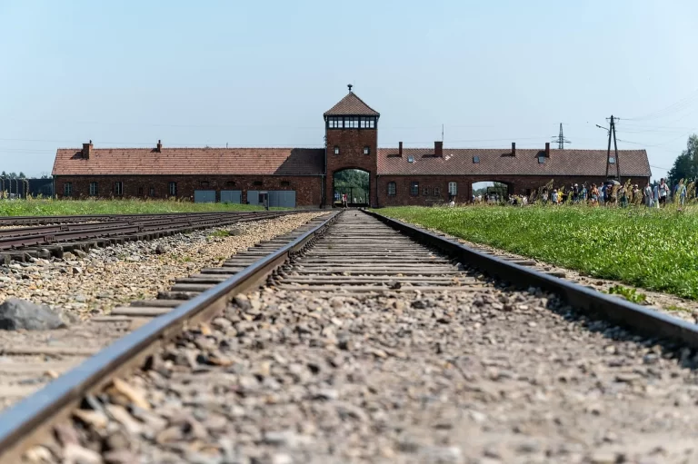 Watchtower silhouette against overcast sky, Auschwitz