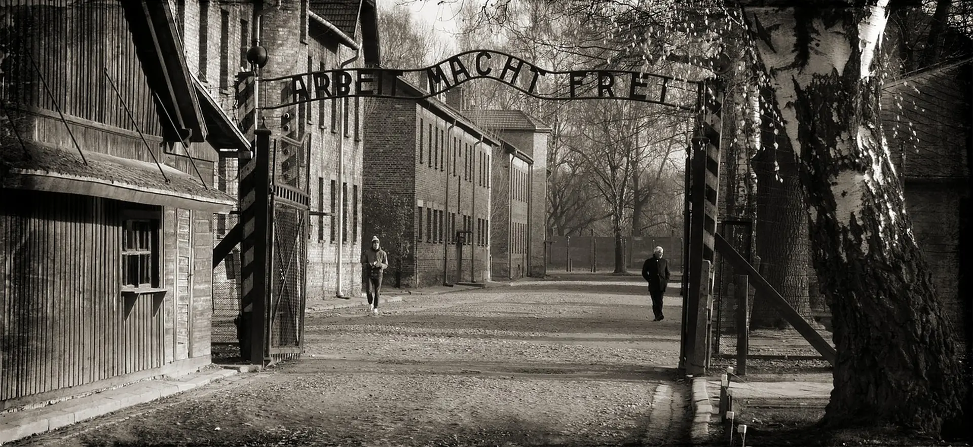 What to expect emotionally at auschwitz — Early morning mist over the Auschwitz memorial site, no people