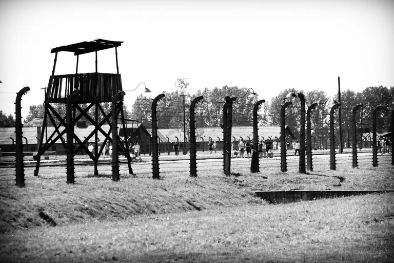 Modern coach bus on a highway toward Auschwitz, daytime