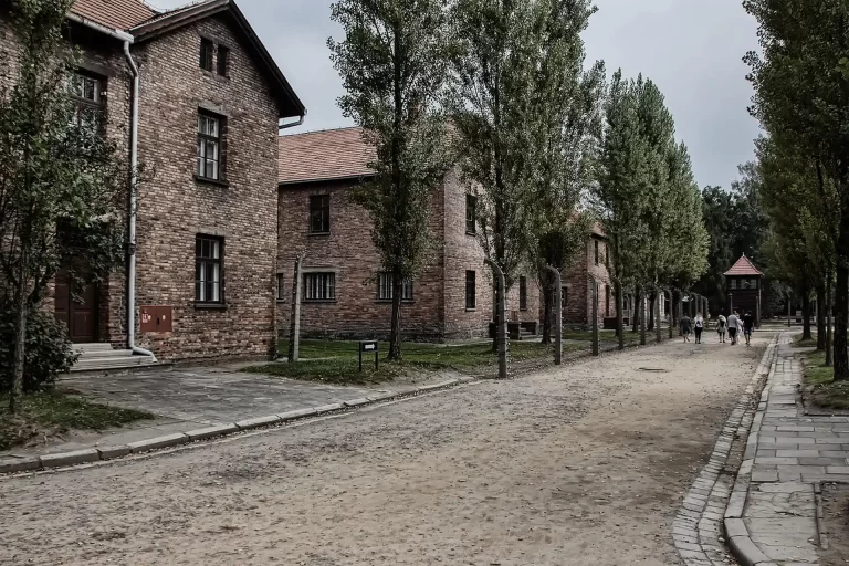 Auschwitz Tour from Krakow: A Complete Guide to Booking and the Day