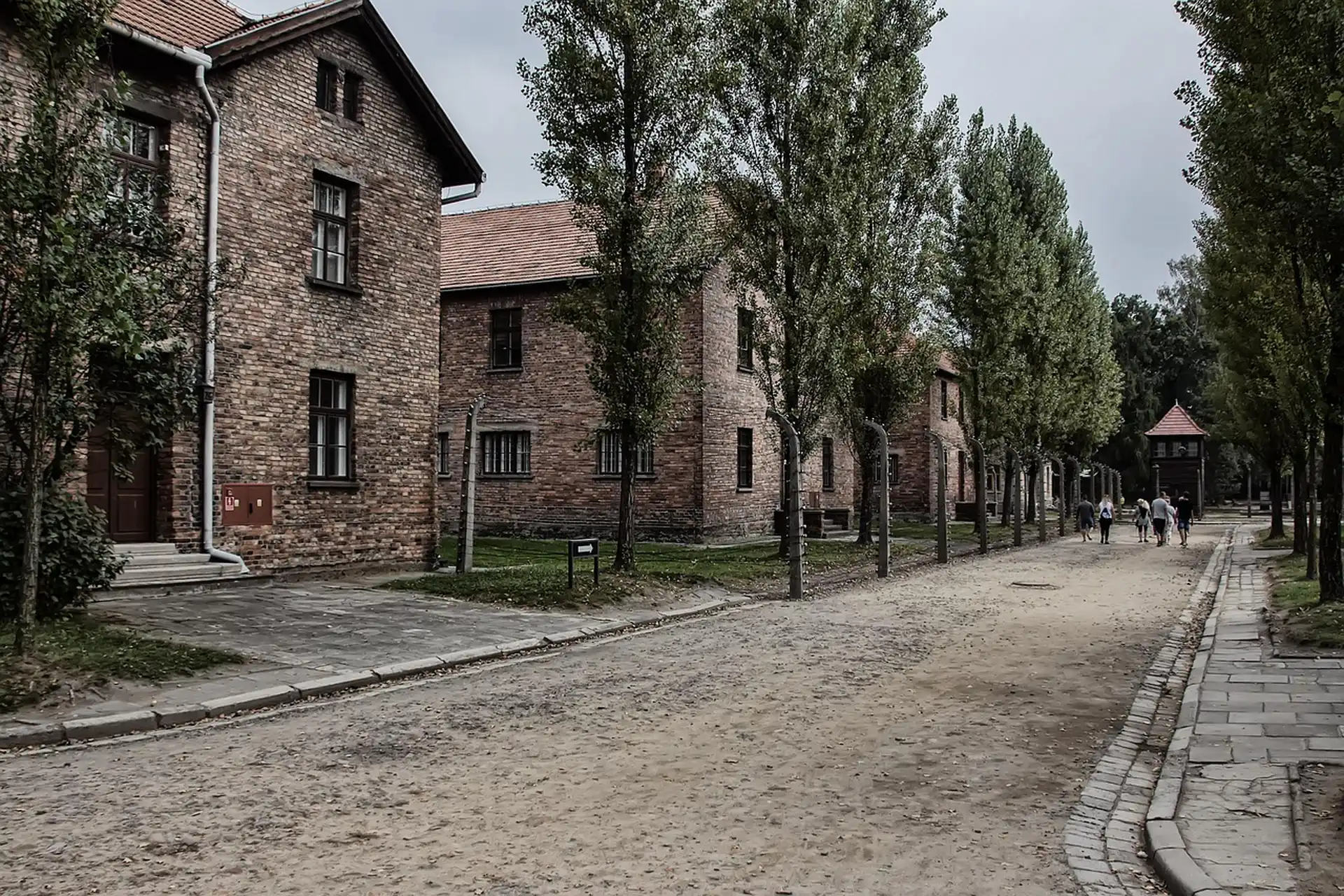 Old town street dawn — Auschwitz Tour from Krakow: A Complete Guide to Booking and the Day