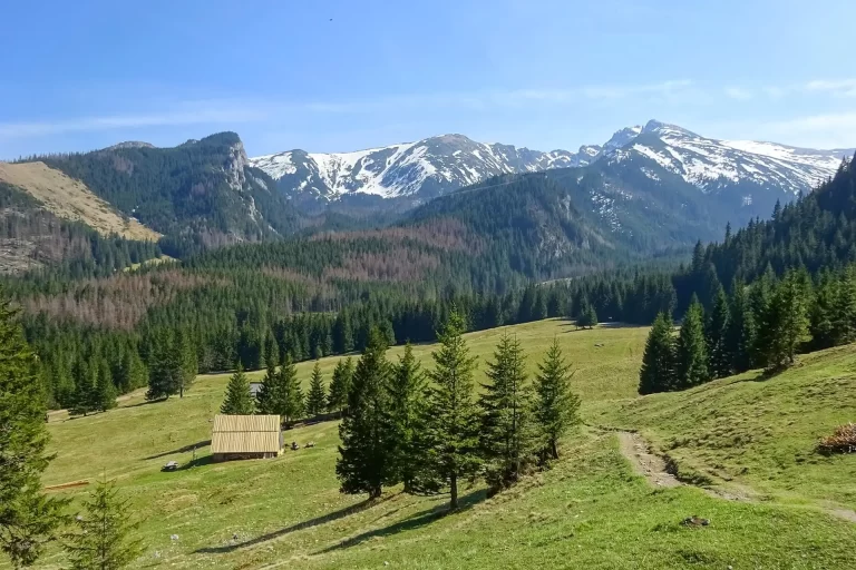 Tatra Mountains wide landscape view from Zakopane