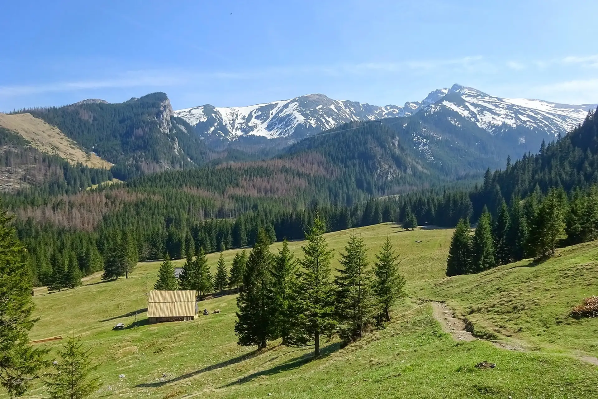 Tatra Mountains wide landscape view from Zakopane