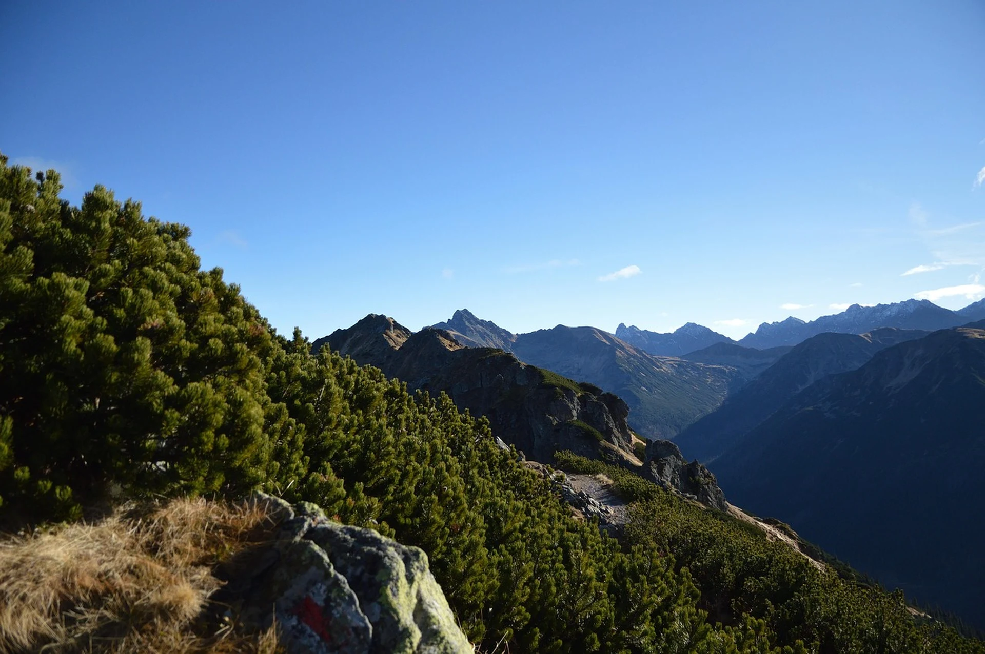 Tarnów or bochnia from krakow — Green valley near Zakopane in summer