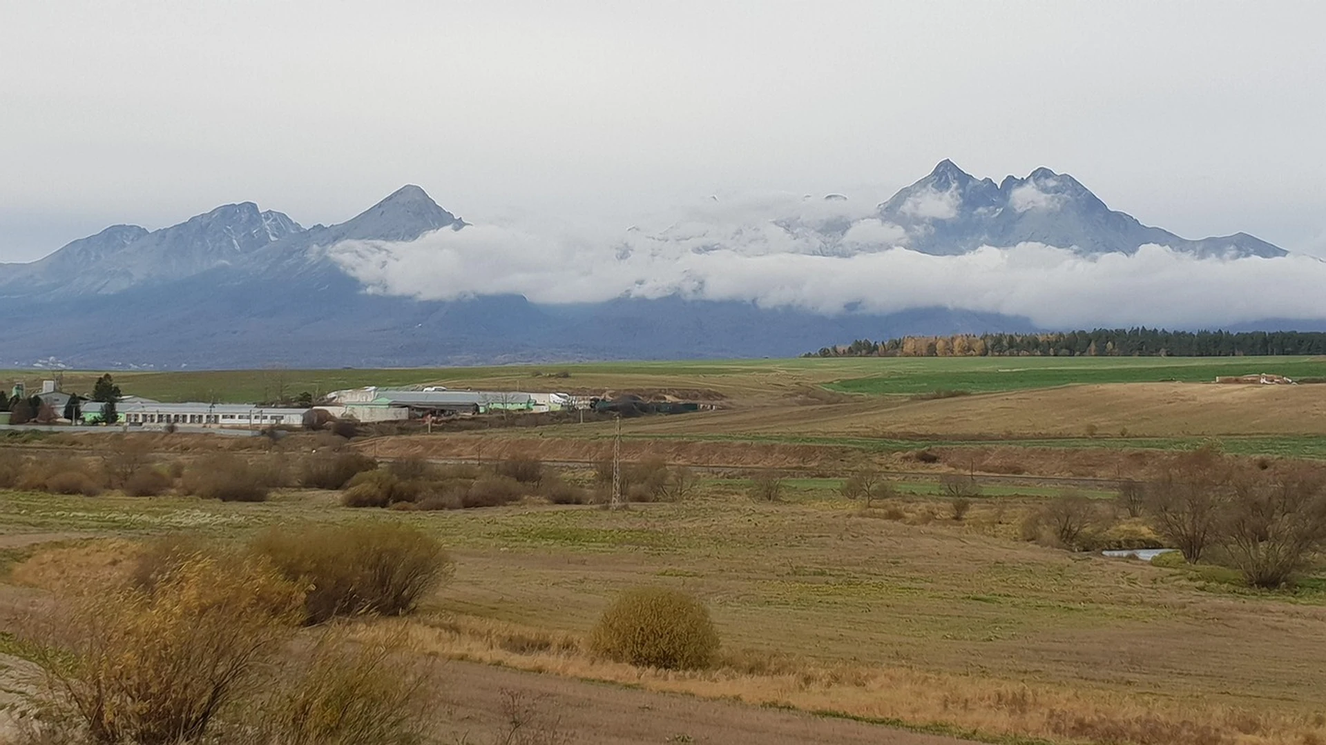 Rural Polish countryside road near Tarnów